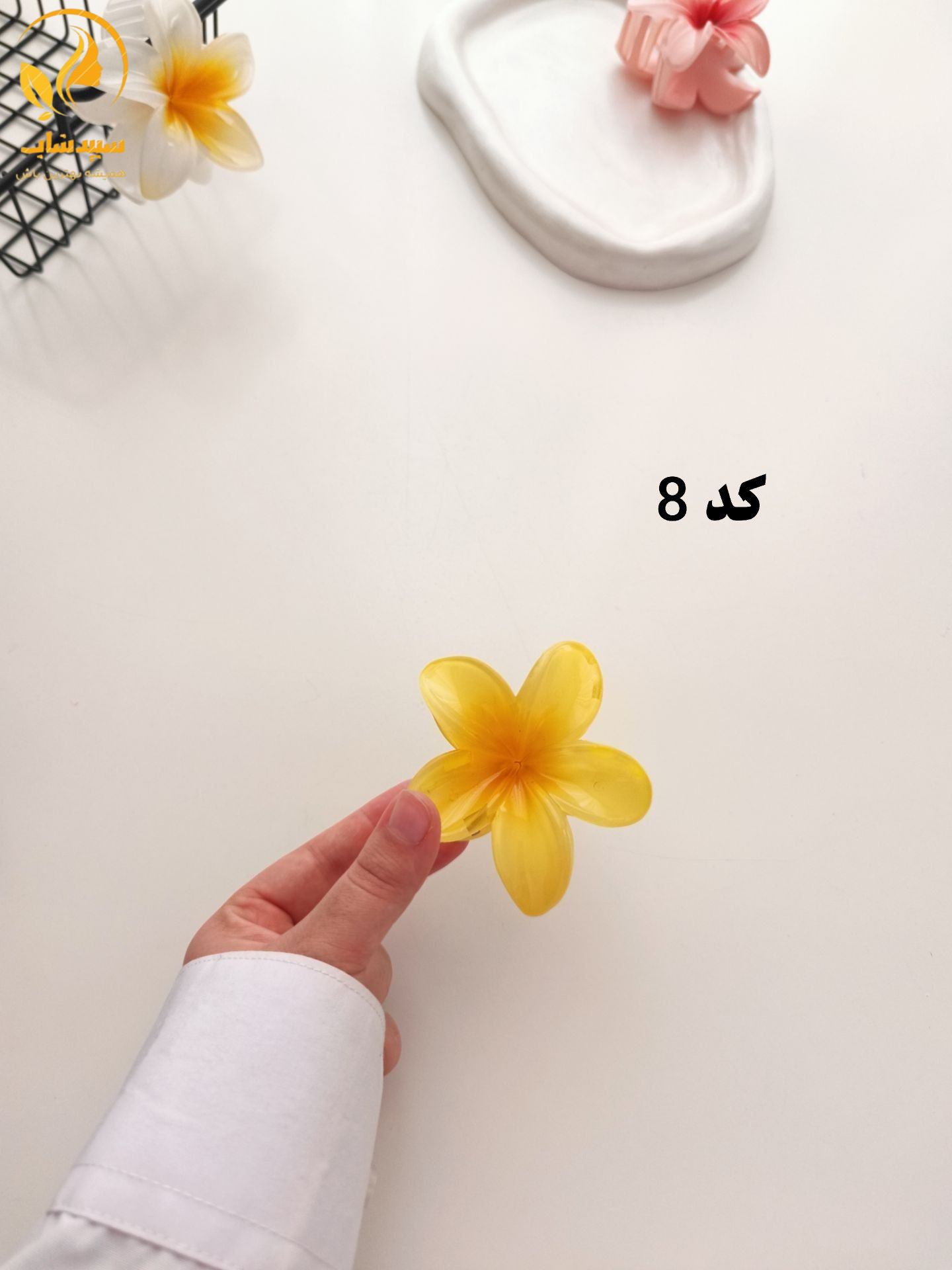 کلیپس پلومریا