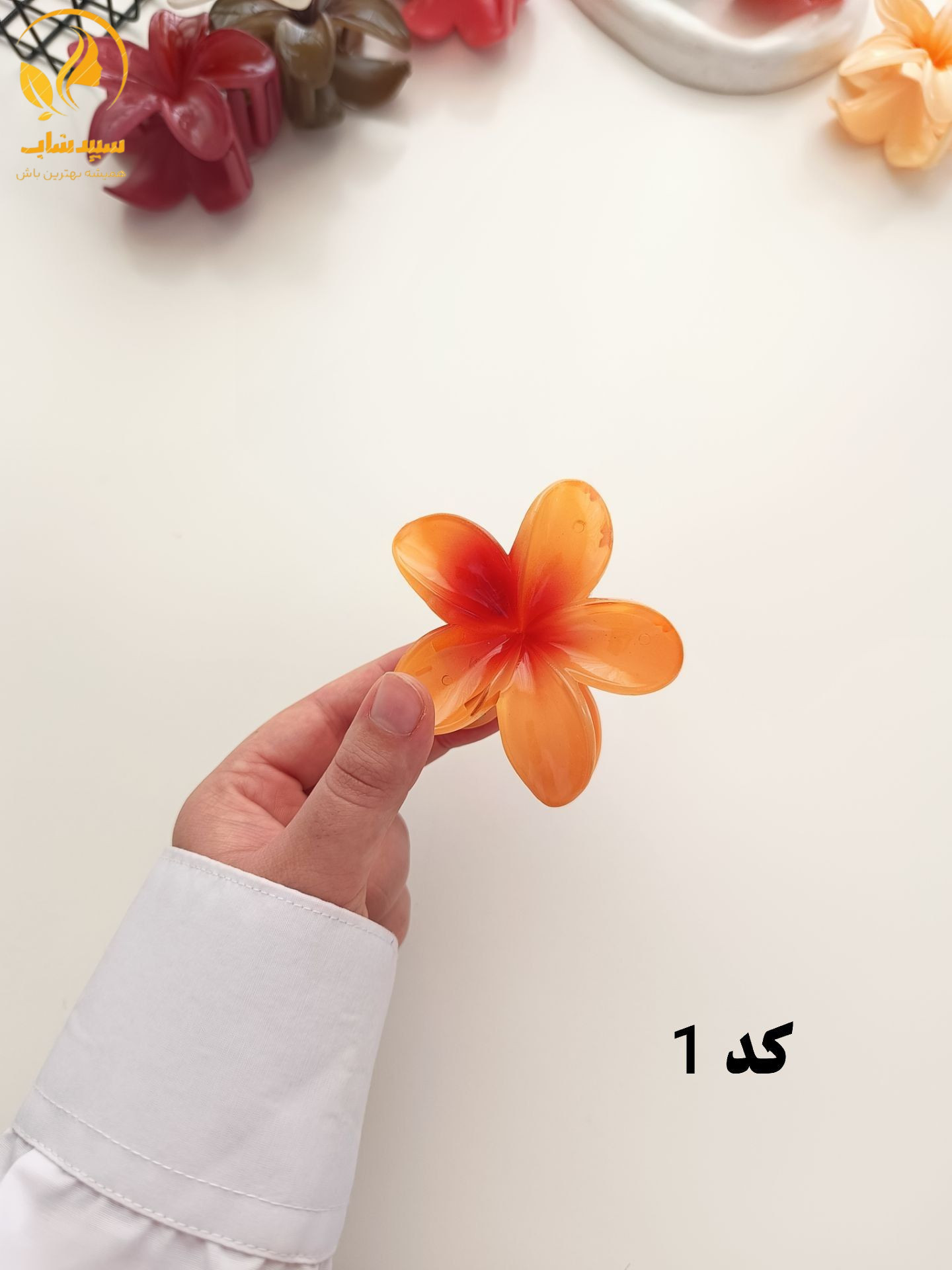 کلیپس پلومریا