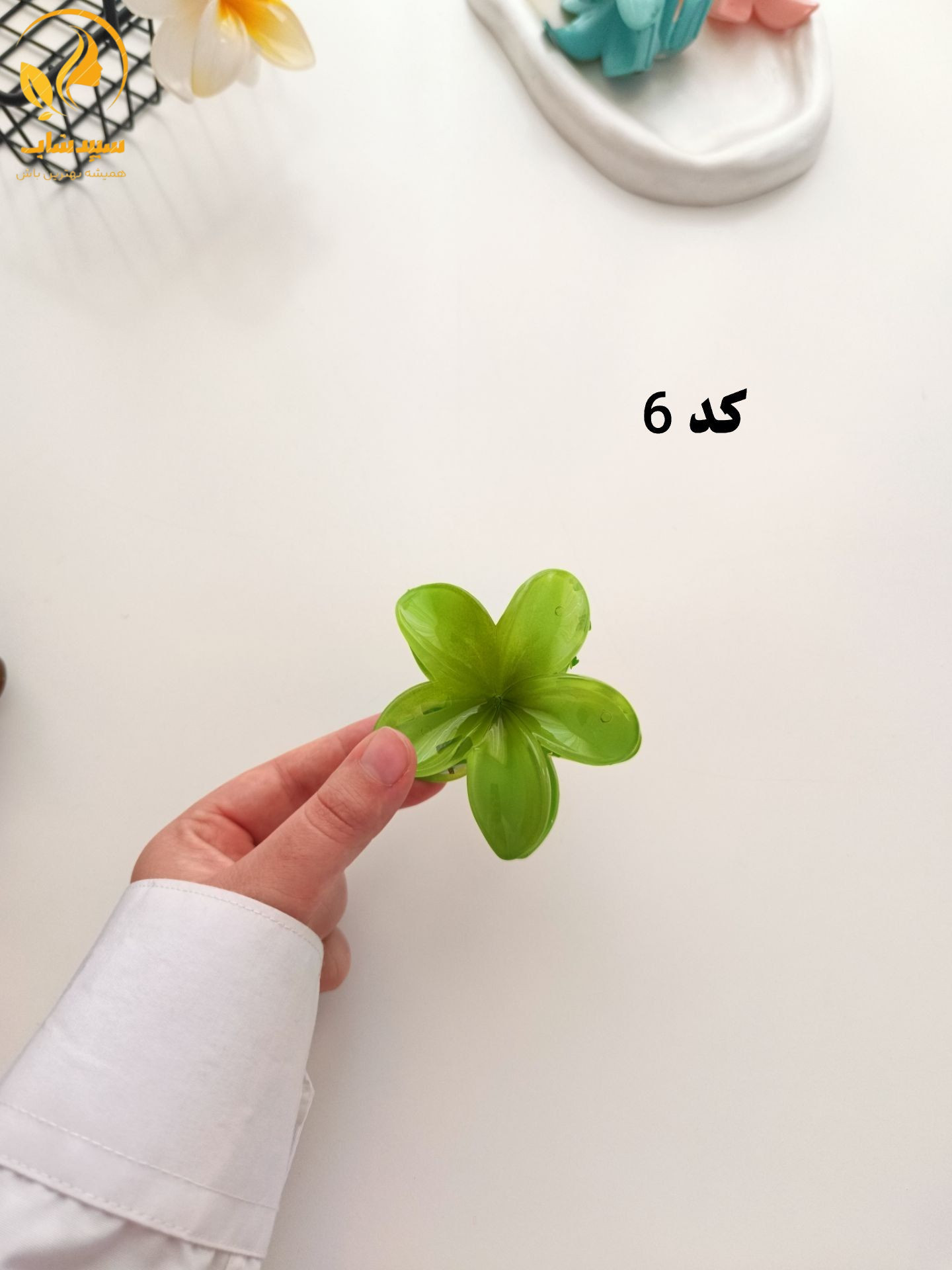 کلیپس پلومریا